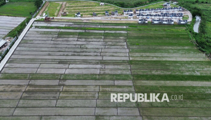 Viral Kebun Teh di Pangalengan Bandung Beralih Fungsi Jadi Lahan Tanaman Sayuran