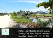 Mafia Kayu Subur di Sorong: Pembiaran dan Lemahnya Penegakan Hukum Disorot