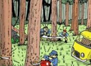 DPN FAMI Ungkap Jaringan Perusak Hutan Papua: “Ini Bukan Sekadar Pelanggaran, Ini Penjarahan”