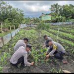 Polsek Daik Lingga Tanam Harapan di Tengah Hutan Sosial Polsek Daik Lingga Tanam Harapan di Tengah Hutan Sosial