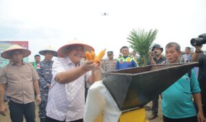 Panen Raya Jagung Polres Asahan: Bukti Nyata Sinergi untuk Swasembada Panen Raya Jagung Polres Asahan: Bukti Nyata Sinergi untuk Swasembada Pangan