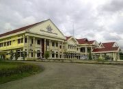 Ucapan yang Menyeret Daerah: Badai Politik dan Hukum dari Sorong Selatan