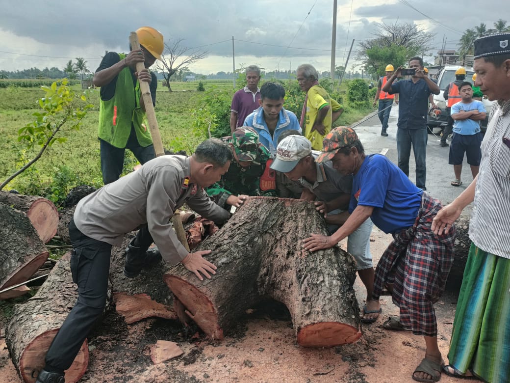 Pohon Tumbang Hambat Arus Lalin, Kapolsek Arungkeke Gotong royong Bersihkan Jalan