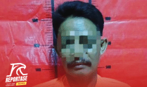 Satreskrim Polres Sumenep Berhasil Tangkap Buronan Kasus Pencurian Dua Ekor Satreskrim Polres Sumenep Berhasil Tangkap Buronan Kasus Pencurian Dua Ekor Sapi